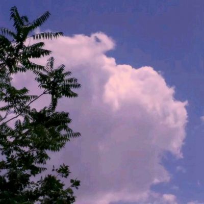 游民星空像素骑士团下载
